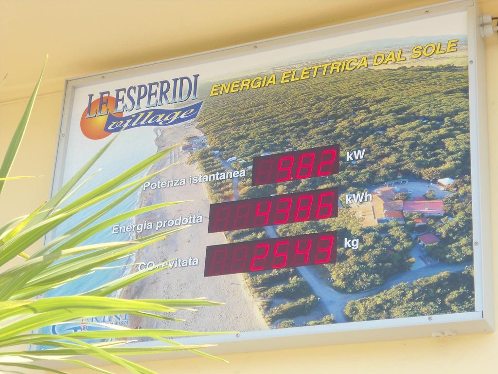 Le Esperidi Camping Ecoresort Marina Di Bibbona Exteriör bild