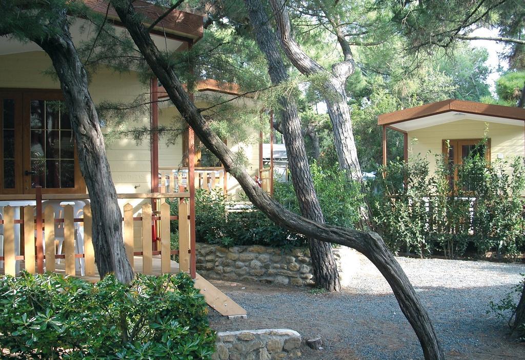 Le Esperidi Camping Ecoresort Marina Di Bibbona Rum bild