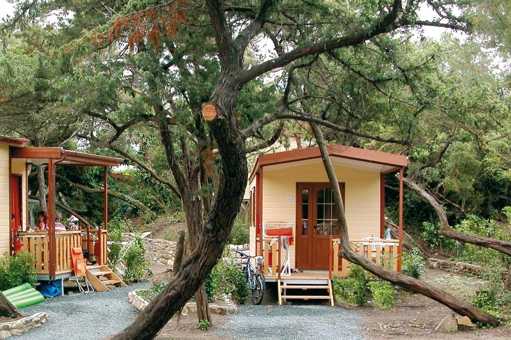Le Esperidi Camping Ecoresort Marina Di Bibbona Rum bild