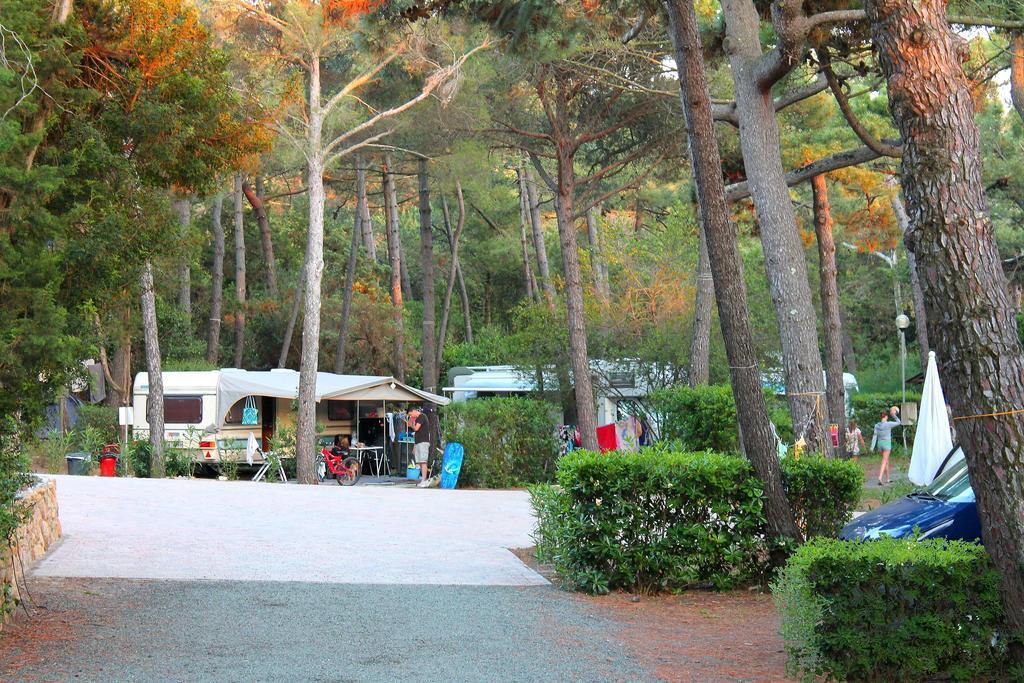 Le Esperidi Camping Ecoresort Marina Di Bibbona Exteriör bild