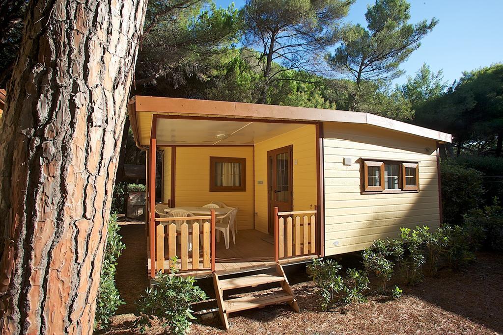 Le Esperidi Camping Ecoresort Marina Di Bibbona Rum bild