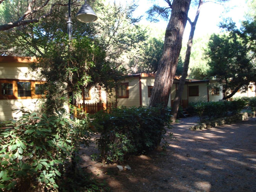 Le Esperidi Camping Ecoresort Marina Di Bibbona Exteriör bild