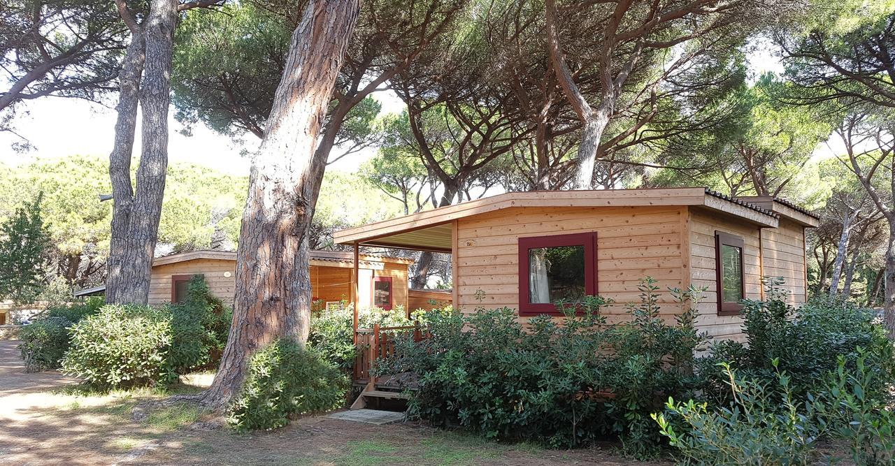 Le Esperidi Camping Ecoresort Marina Di Bibbona Exteriör bild