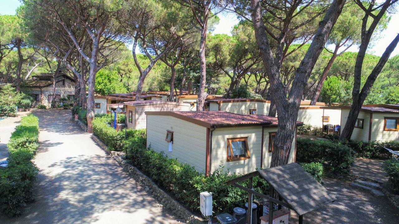 Le Esperidi Camping Ecoresort Marina Di Bibbona Exteriör bild